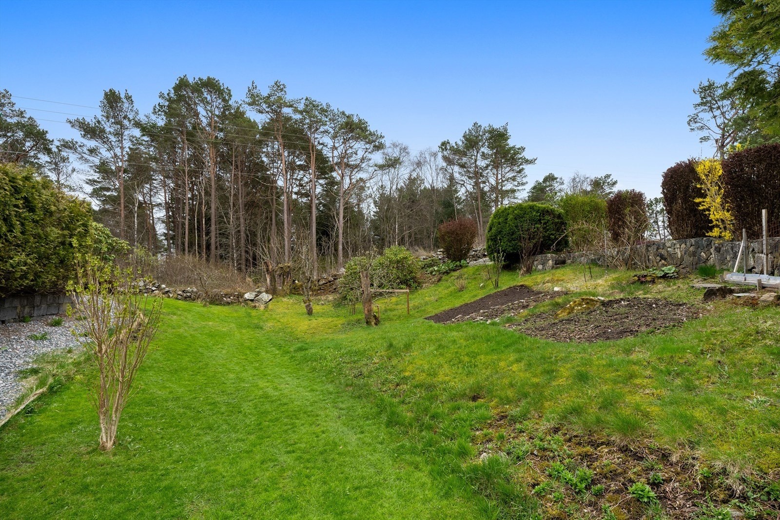 Flott opparbeidet tomt. Galleribilde