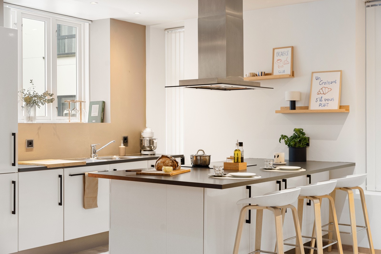 Av hvitevarer er det kjøl/fryseskap, oppvaskmaskin, induksjonstopp og stekeovn Galleribilde