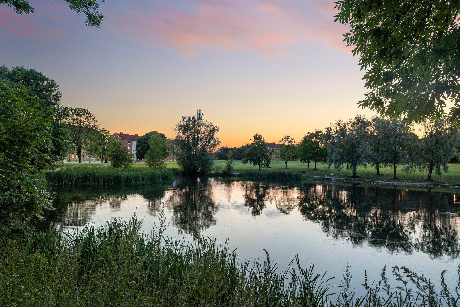 Kveldsbilde fra Hovindammen. Galleribilde