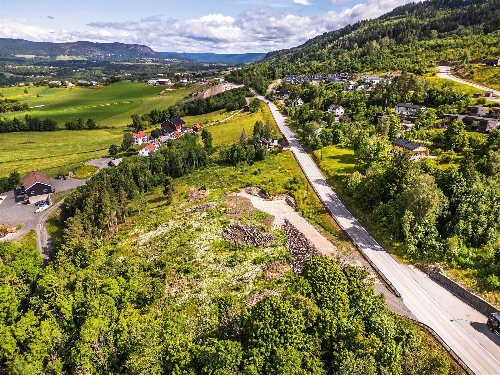 Flere trær på tomten er hugget ned for klargjøring. Galleribilde