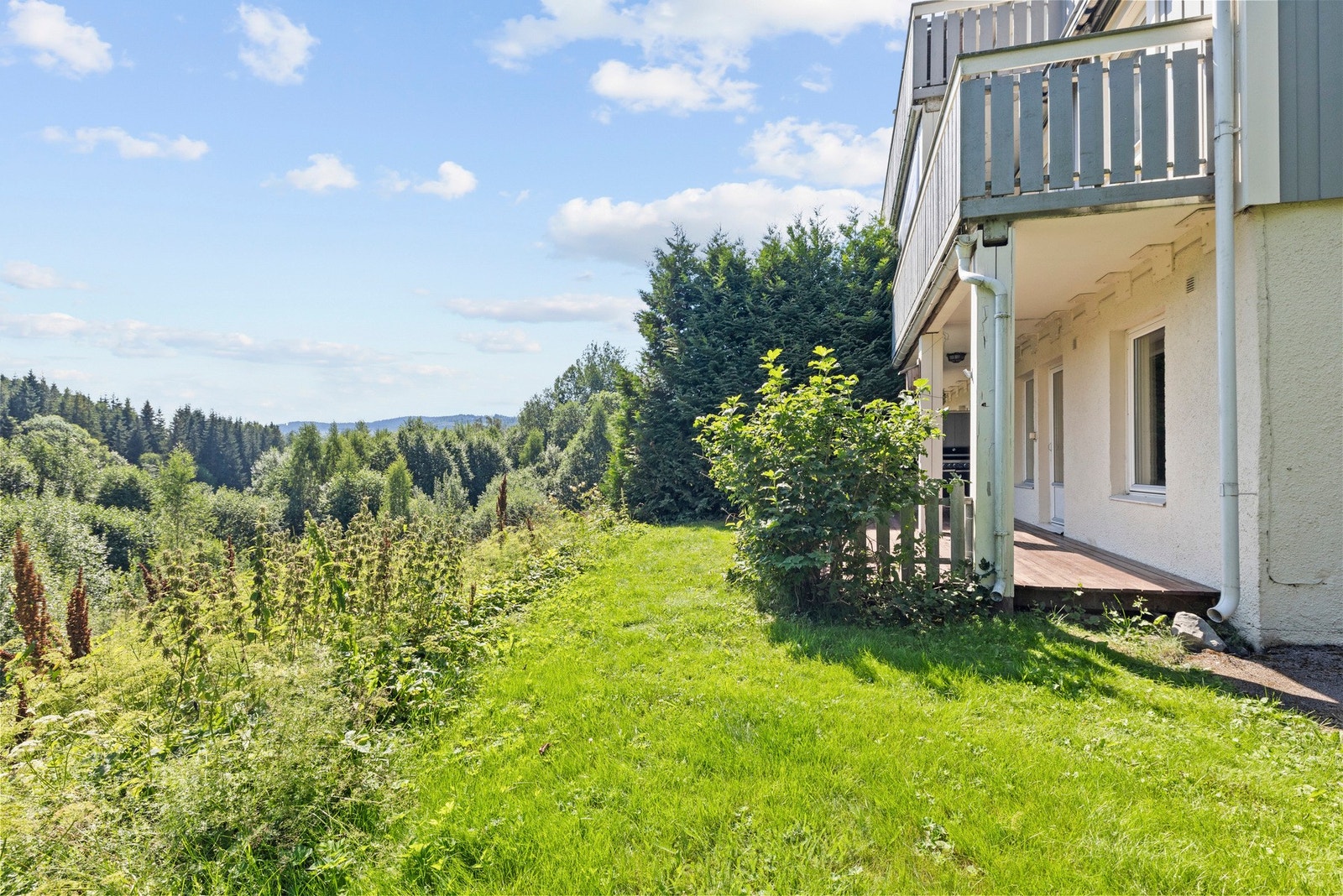 Her vil du garantert trives! Galleribilde