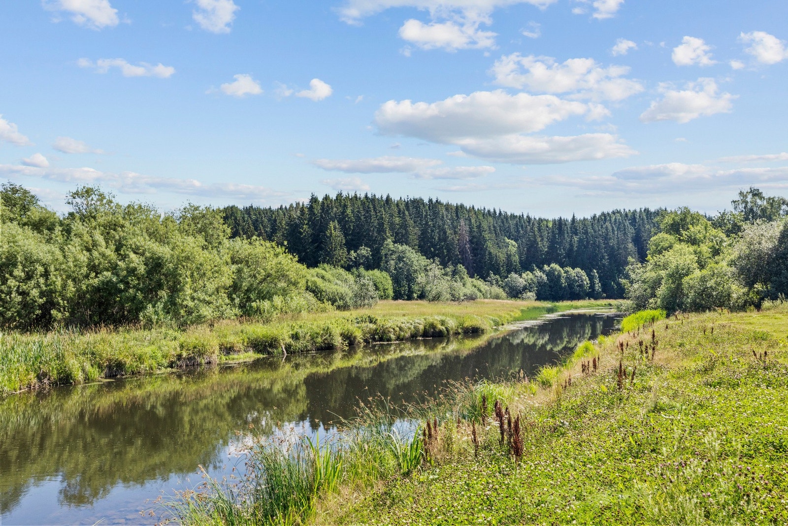 Her bor du med marka som nærmeste nabo og flotte naturopplevelser rett utenfor døren. Galleribilde