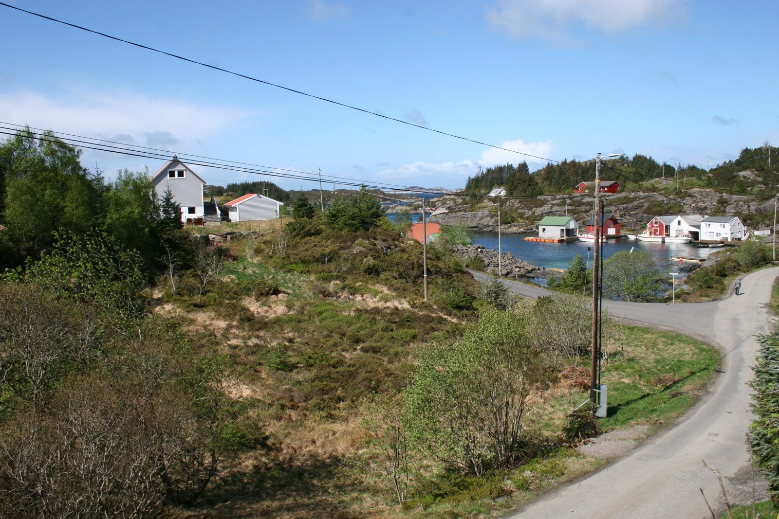 Velkommen til Træsnesvegen! Galleribilde