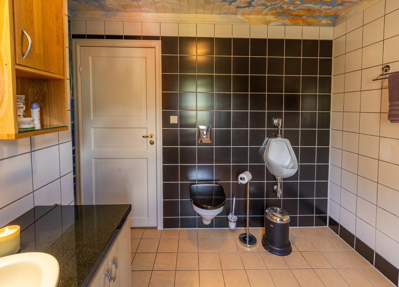 Vegghengt toalett og urinal Galleribilde