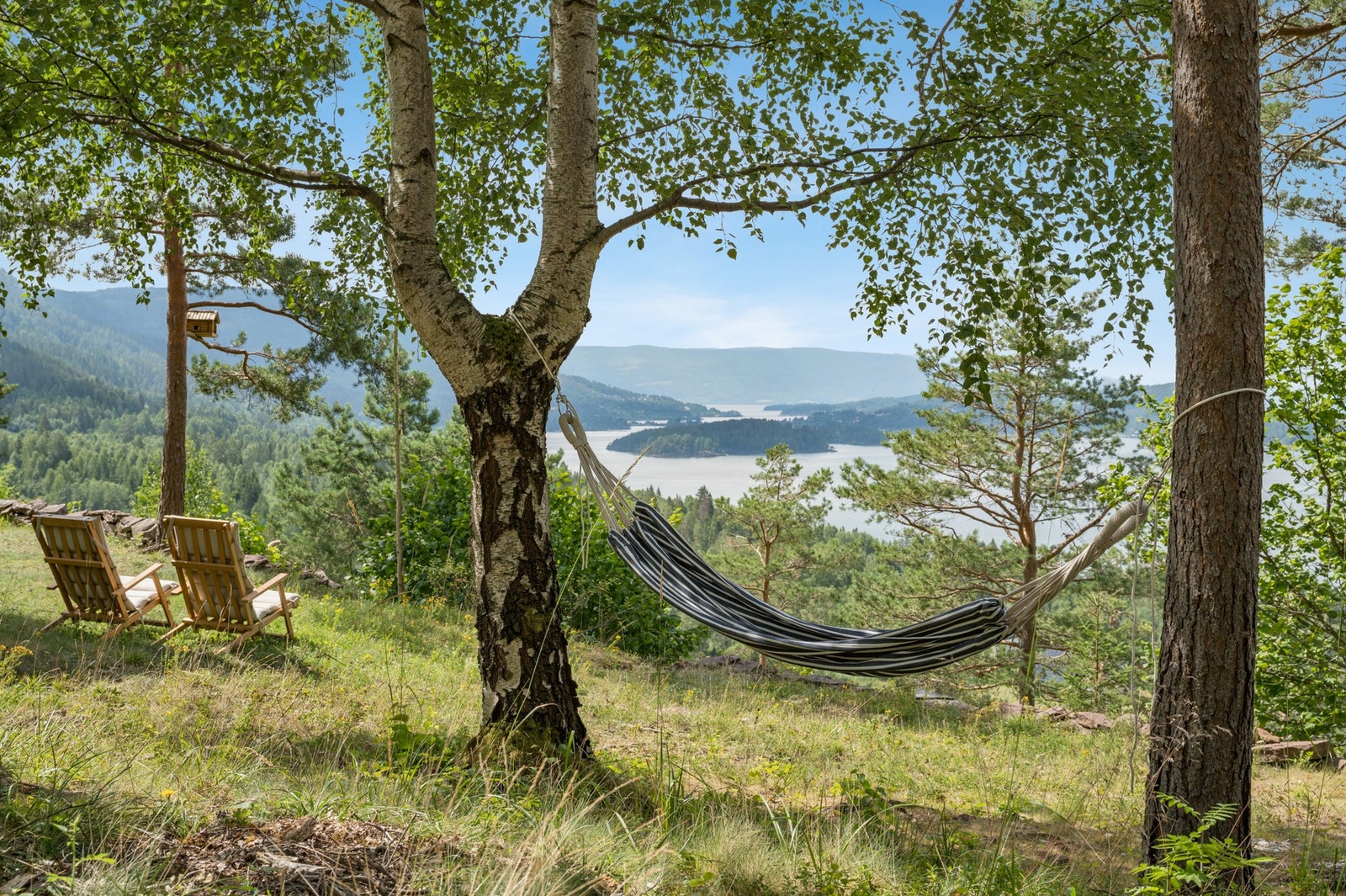 Finn roen i hengekøya under trekronene - dette er et lite eventyrsted for både store og små. Galleribilde