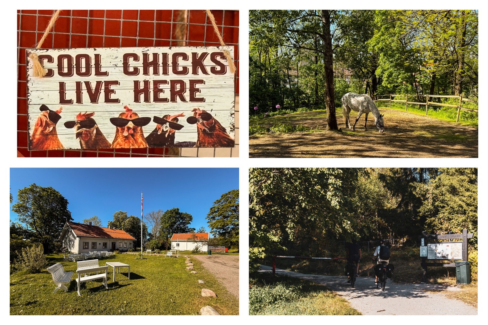 Årvoll gård kultur og aktivitetssenter. Galleribilde