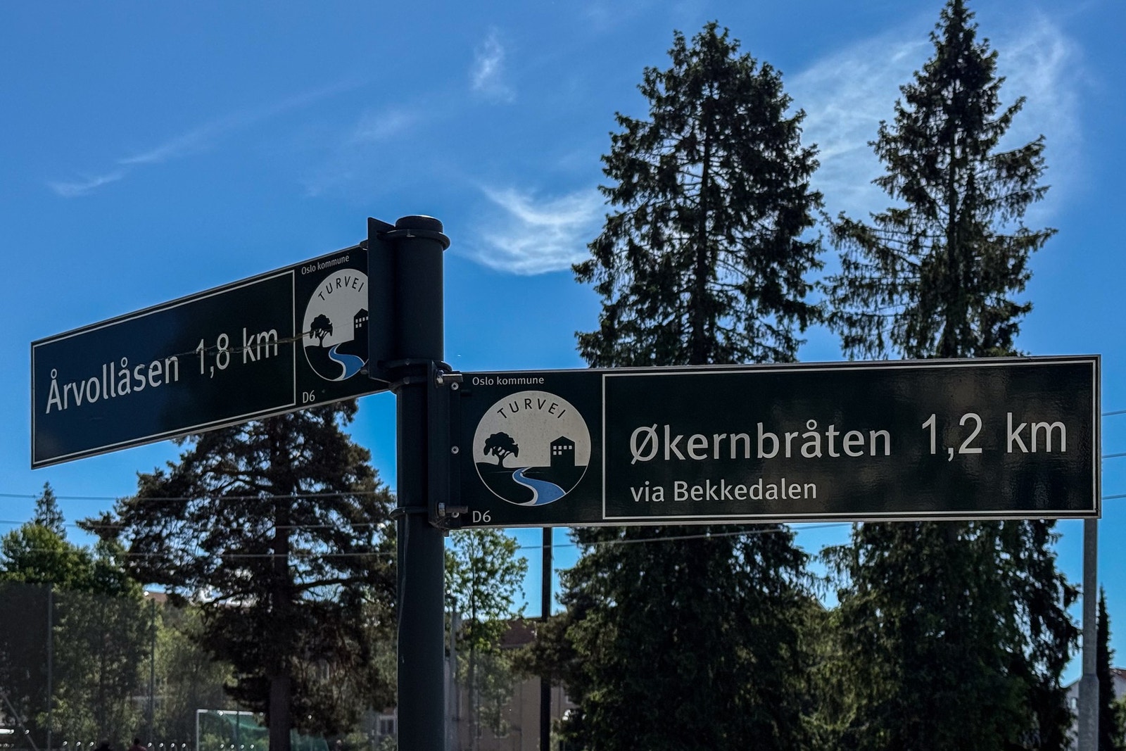 Flotte turveier og -muligheter rett utenfor døren. Galleribilde