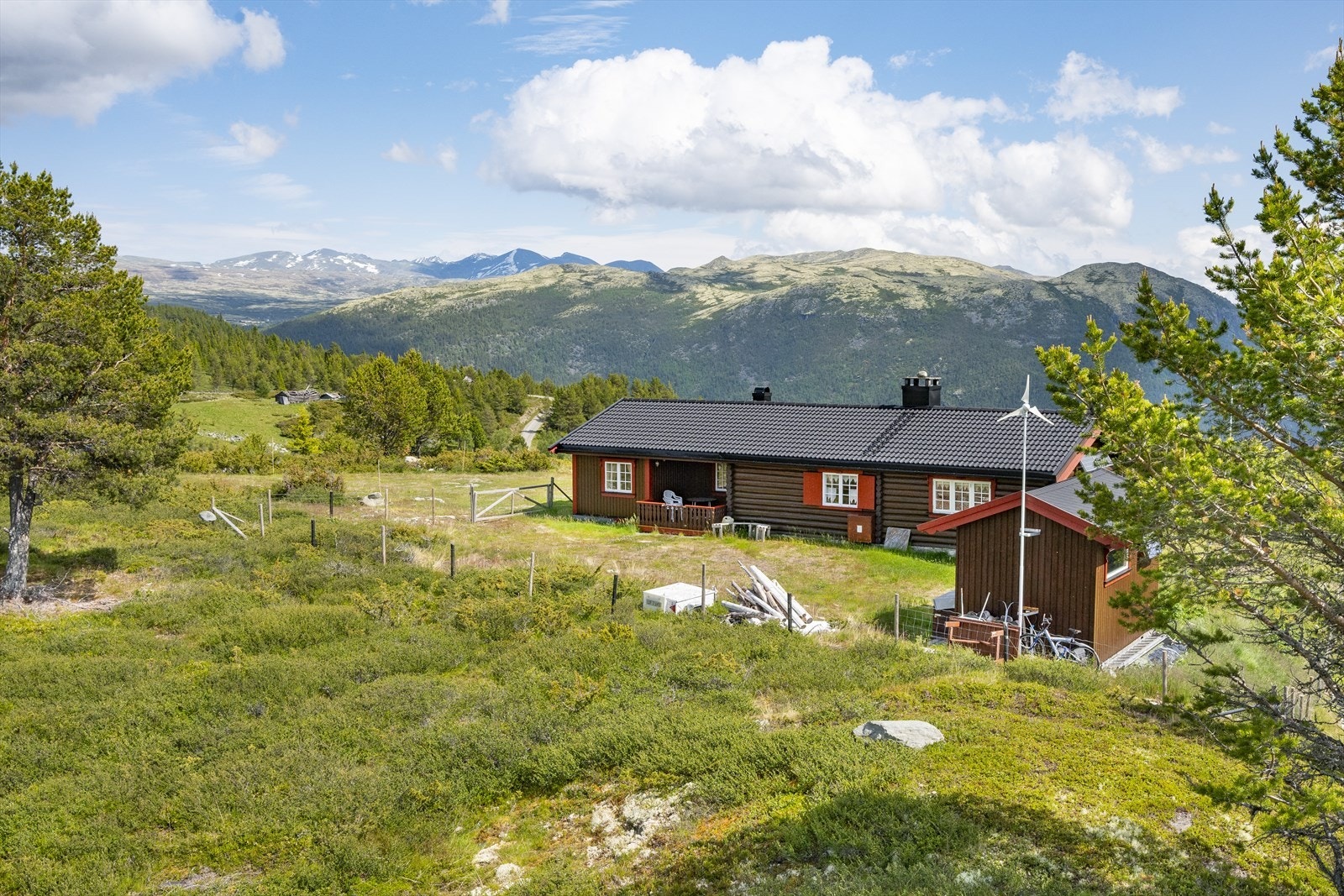 Fasadebilder Galleribilde