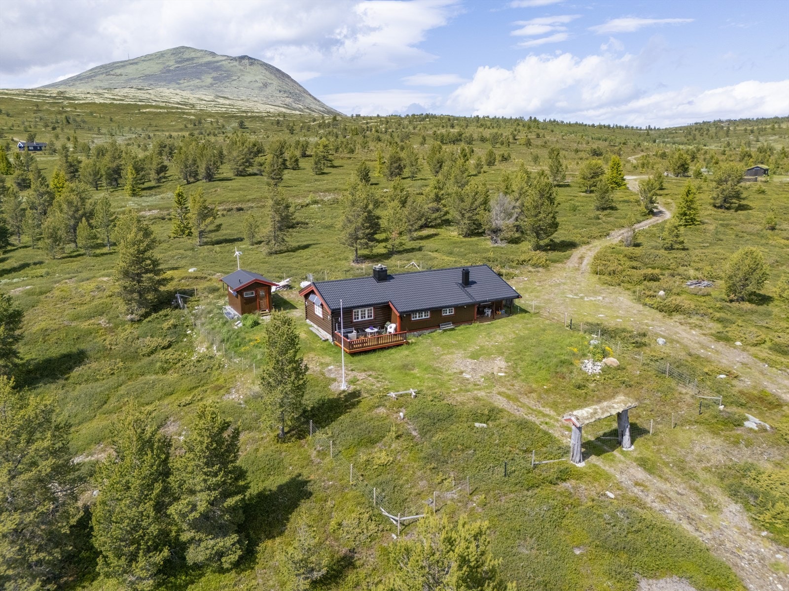 Områdebilder Galleribilde