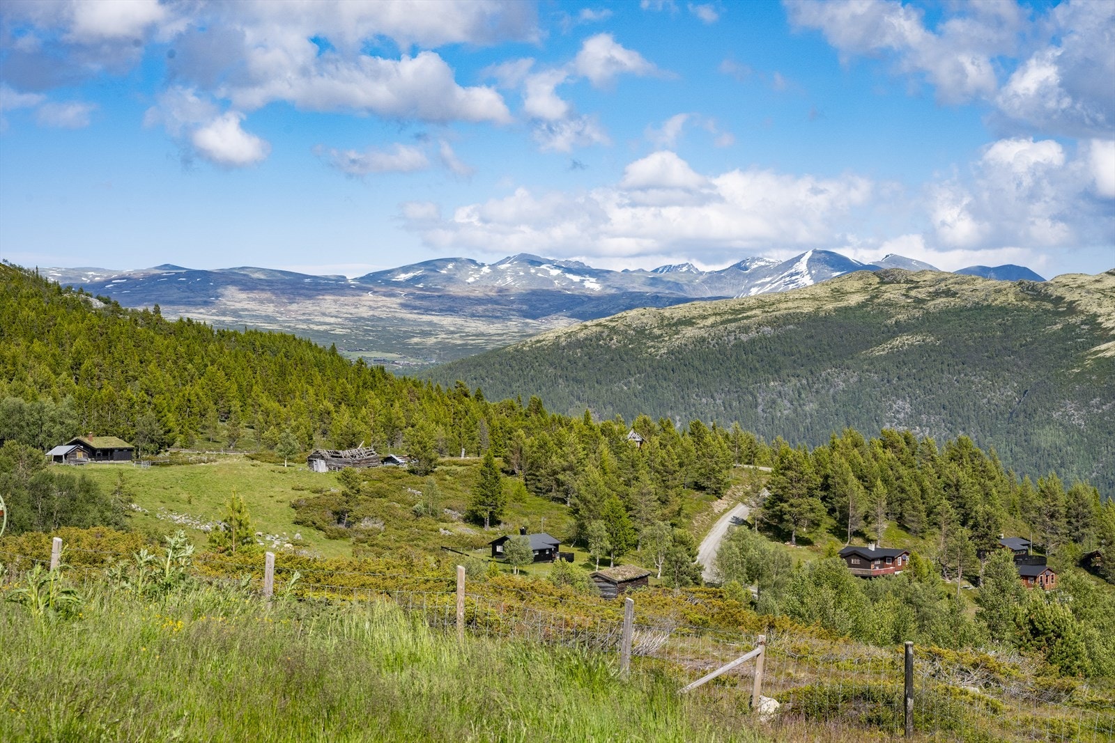 Velkommen til visning! Galleribilde