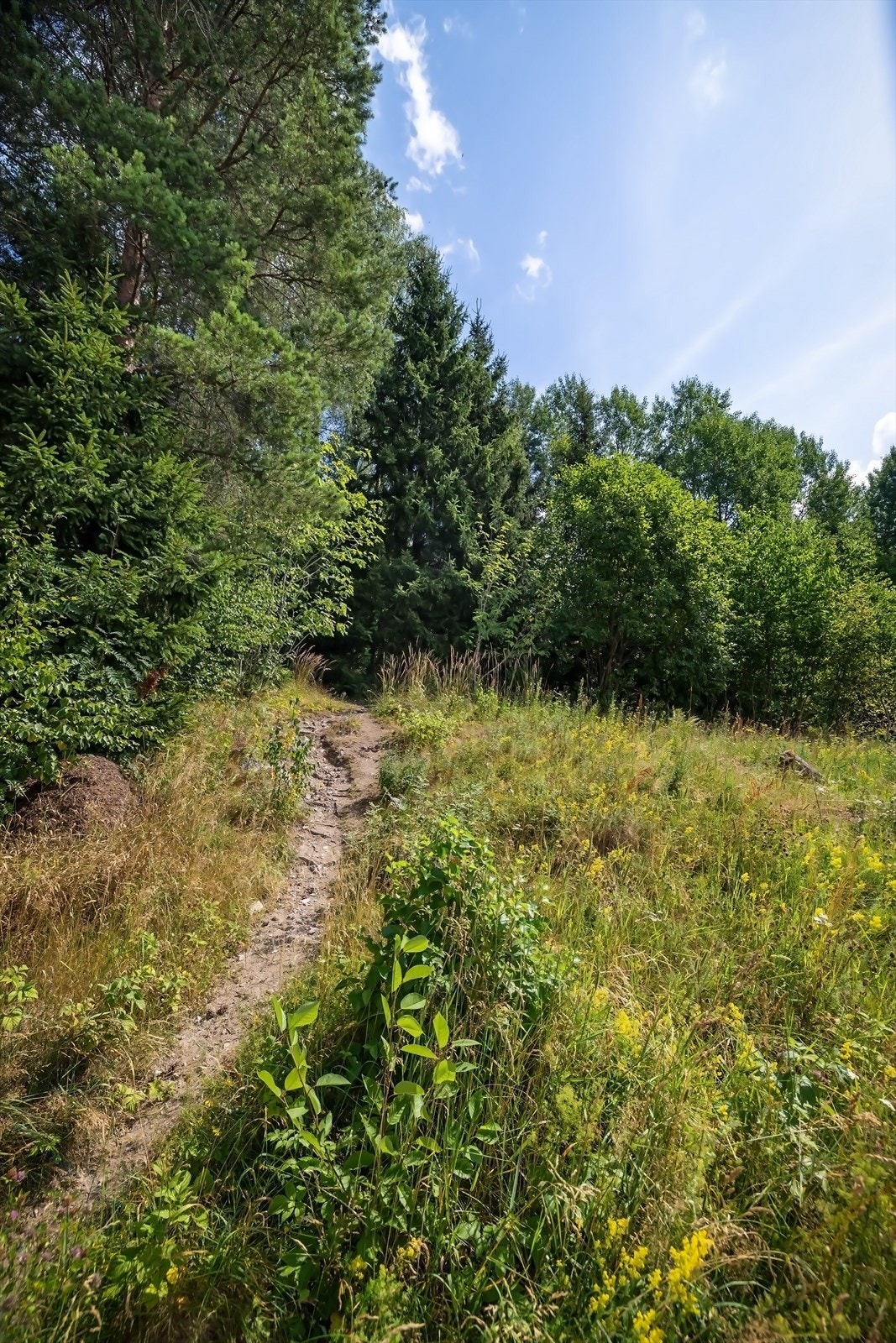 Her starter turstiene rett utenfor døra! Galleribilde