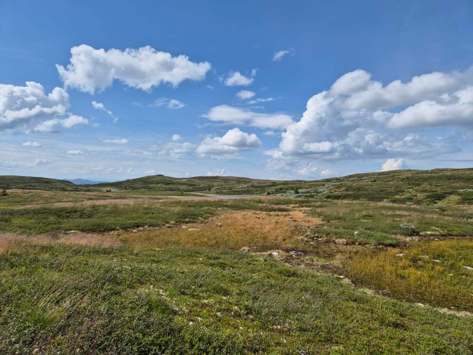 Selgers privat bilde. Tur opp til Jomfruslettefjell. Populært turområdet Galleribilde