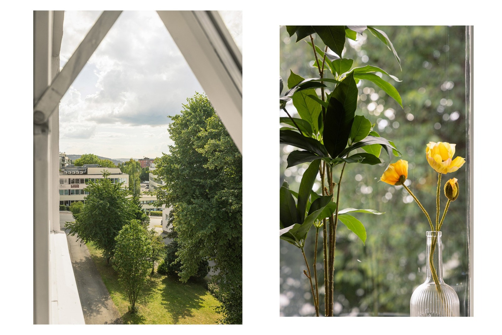 Det grønne utsynet mot omgivelsene forsterker romfølelsen og gir en fredelig ramme rundt hverdagen. Galleribilde