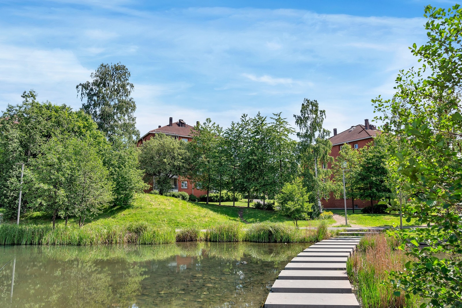 Friarealene rundt Valle Hovin er kjent for sine allsidige idrettsanlegg, men her finner du også idylliske Hovindammen med et rikt fugleliv. Galleribilde