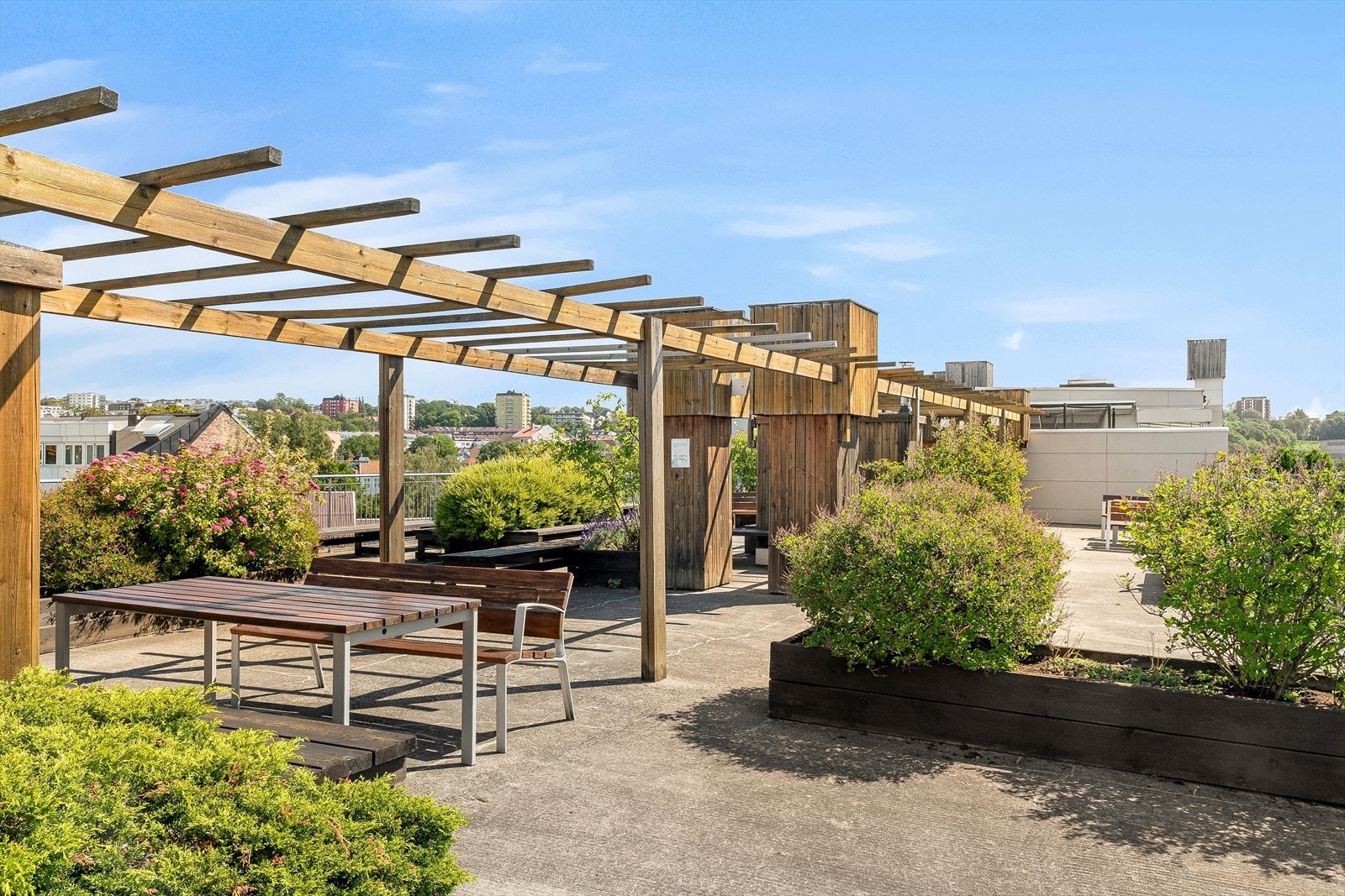 Felles takterrasse med pergola og sittegrupper - et perfekt sted for sosiale sammenkomster. Galleribilde