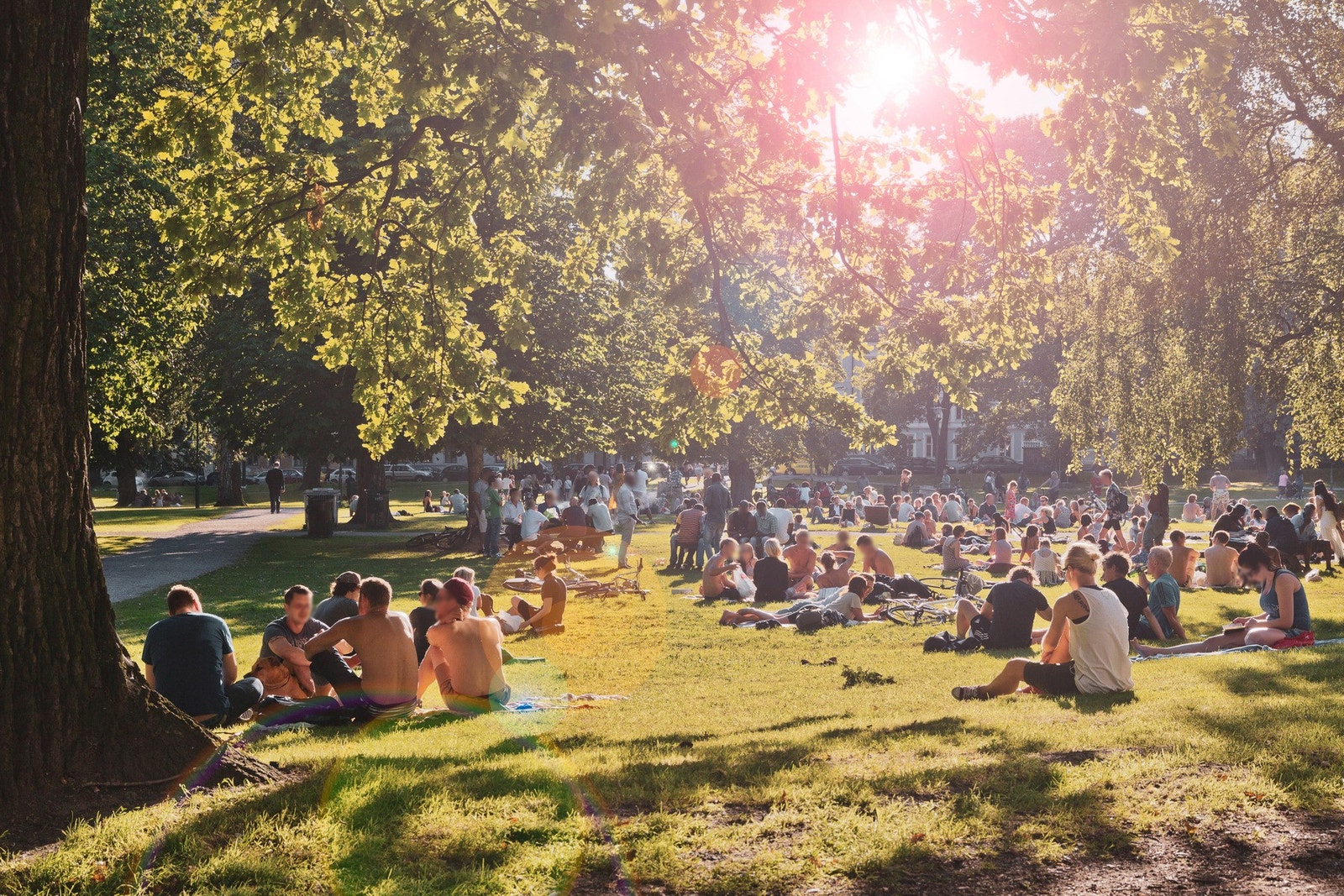 Flotte parkområder på Grünerløkka, blant annet Sofienbergparken. Galleribilde