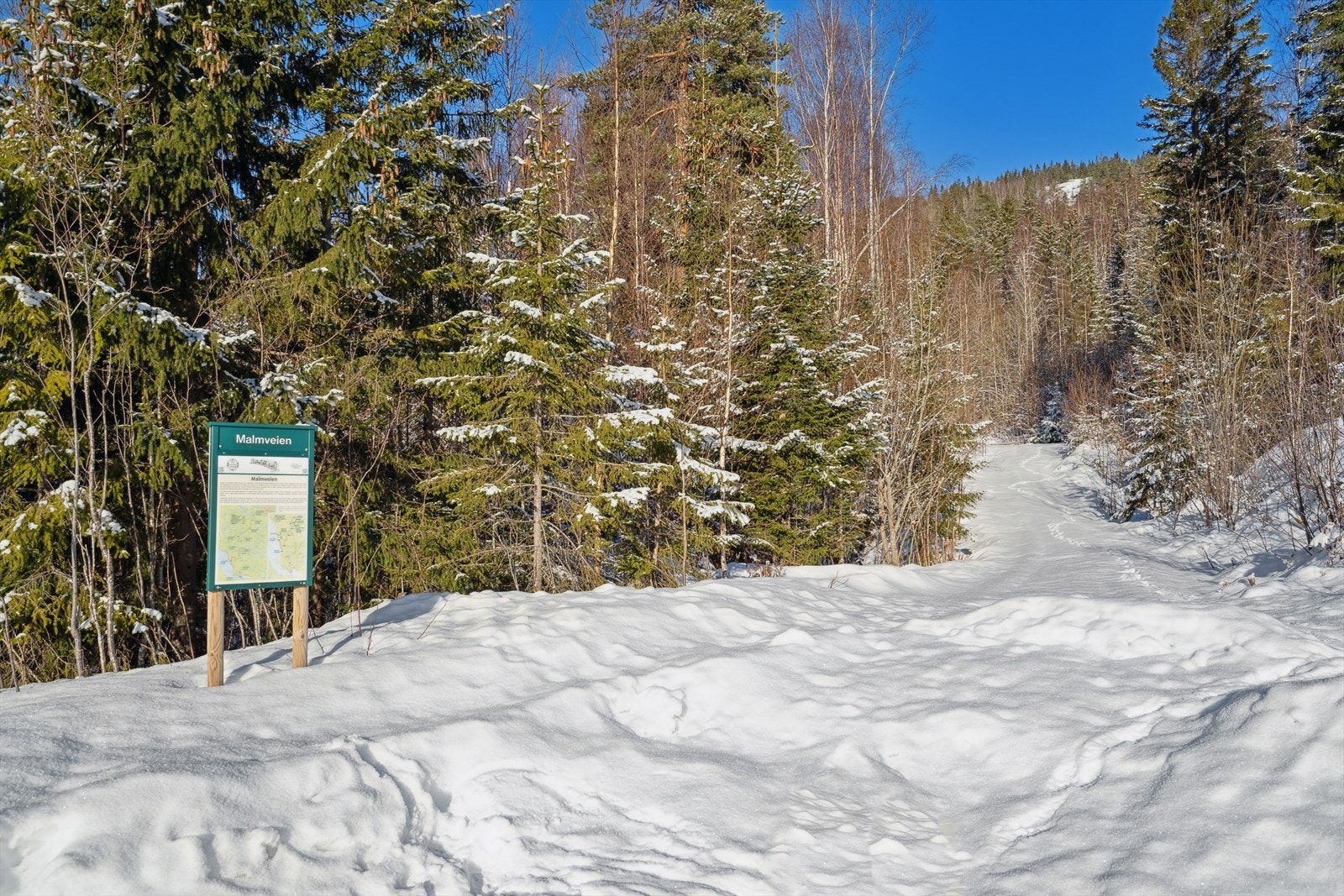Her venter fantastiske turopplevelser for hele familien, både sommer som vinter. Galleribilde