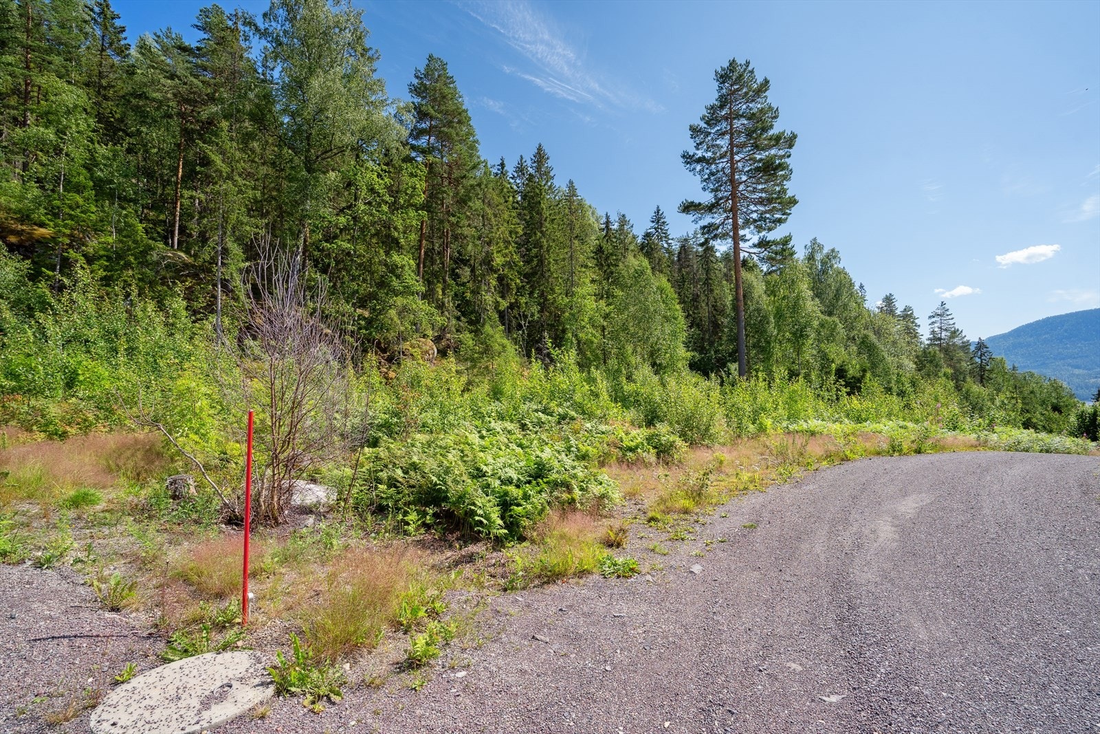 Flere_bilder Galleribilde