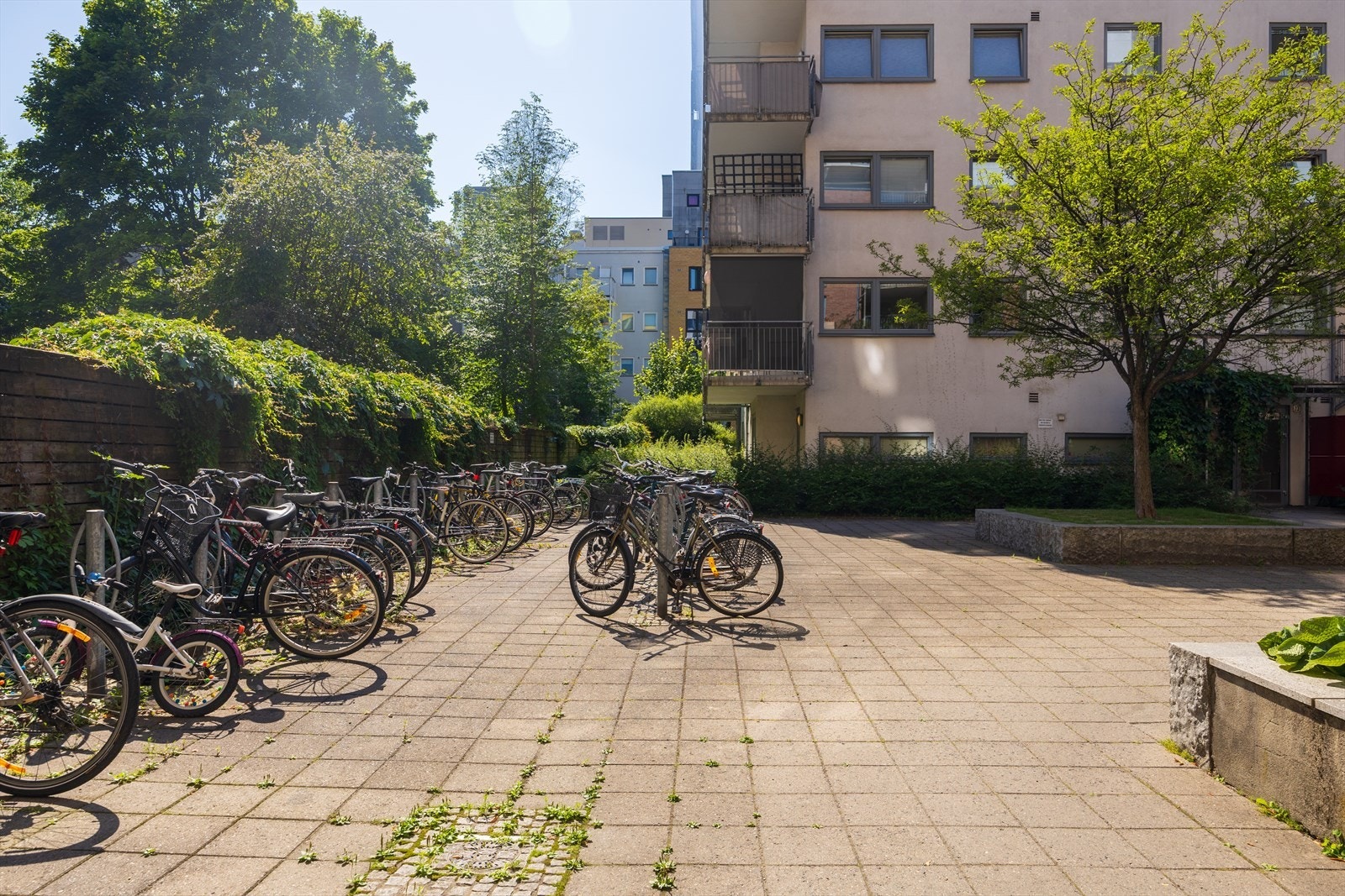 Felles, utendørs sykkelparkering i bakgården. Galleribilde