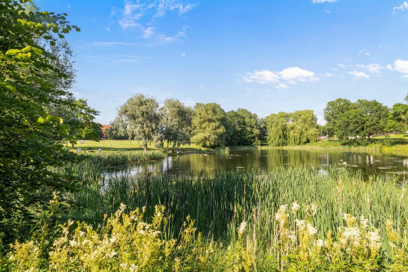 Hovindammen. Galleribilde