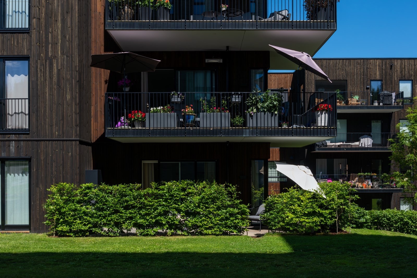 Langs kanten av terrassen er det plantet en frodig, sommergrønn hekk som gir ekstra privatliv. Galleribilde