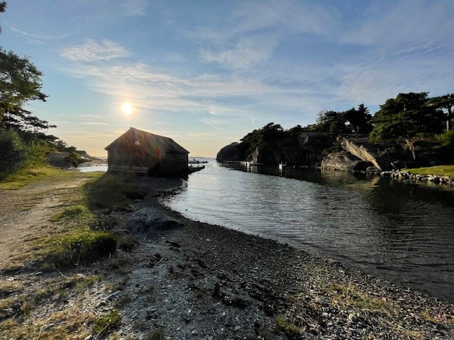 Nærområde Galleribilde