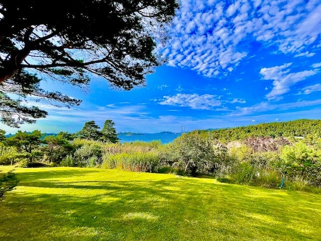 nærområde Galleribilde