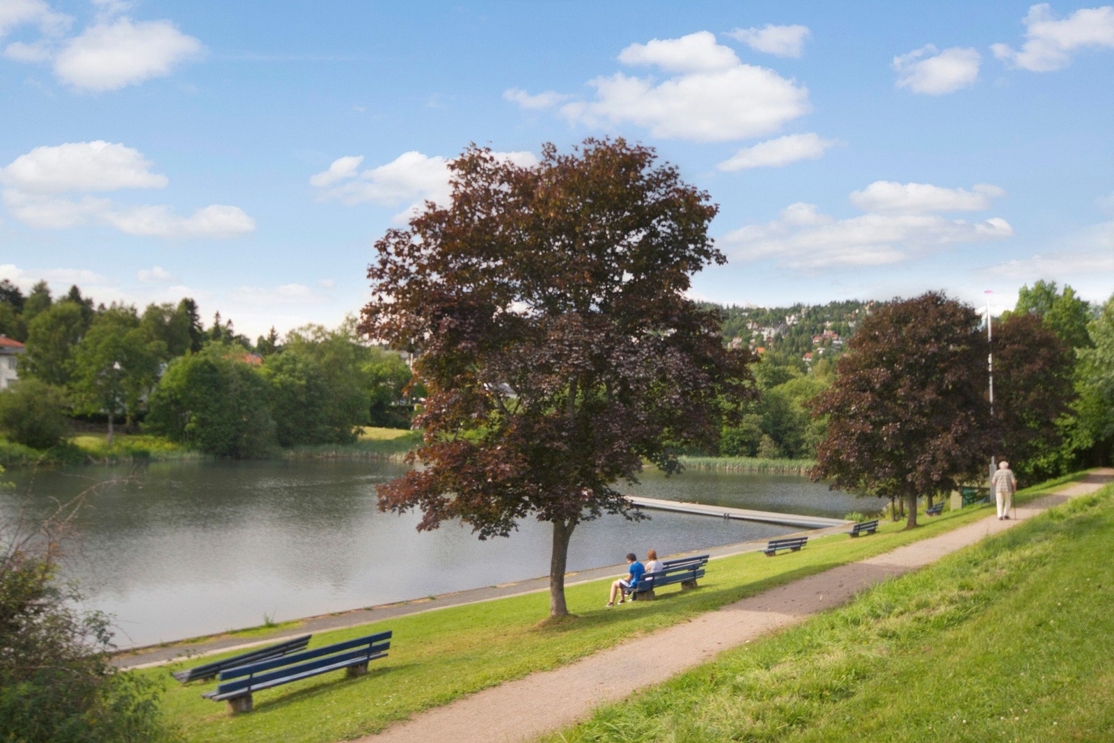 Holmendammen ligger kun en kort tur unna, med store grøntarealer og fugleliv. Galleribilde