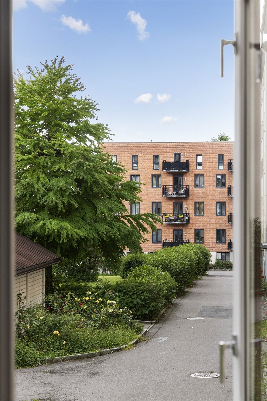 Fritt og fint utsyn mot felles hage for beboerne i borettslaget. Galleribilde