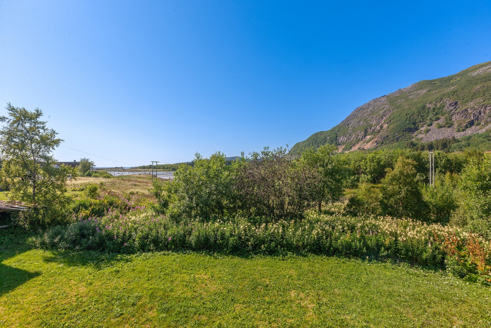 Fra hagen går det en snarvei ned til fjæra Galleribilde