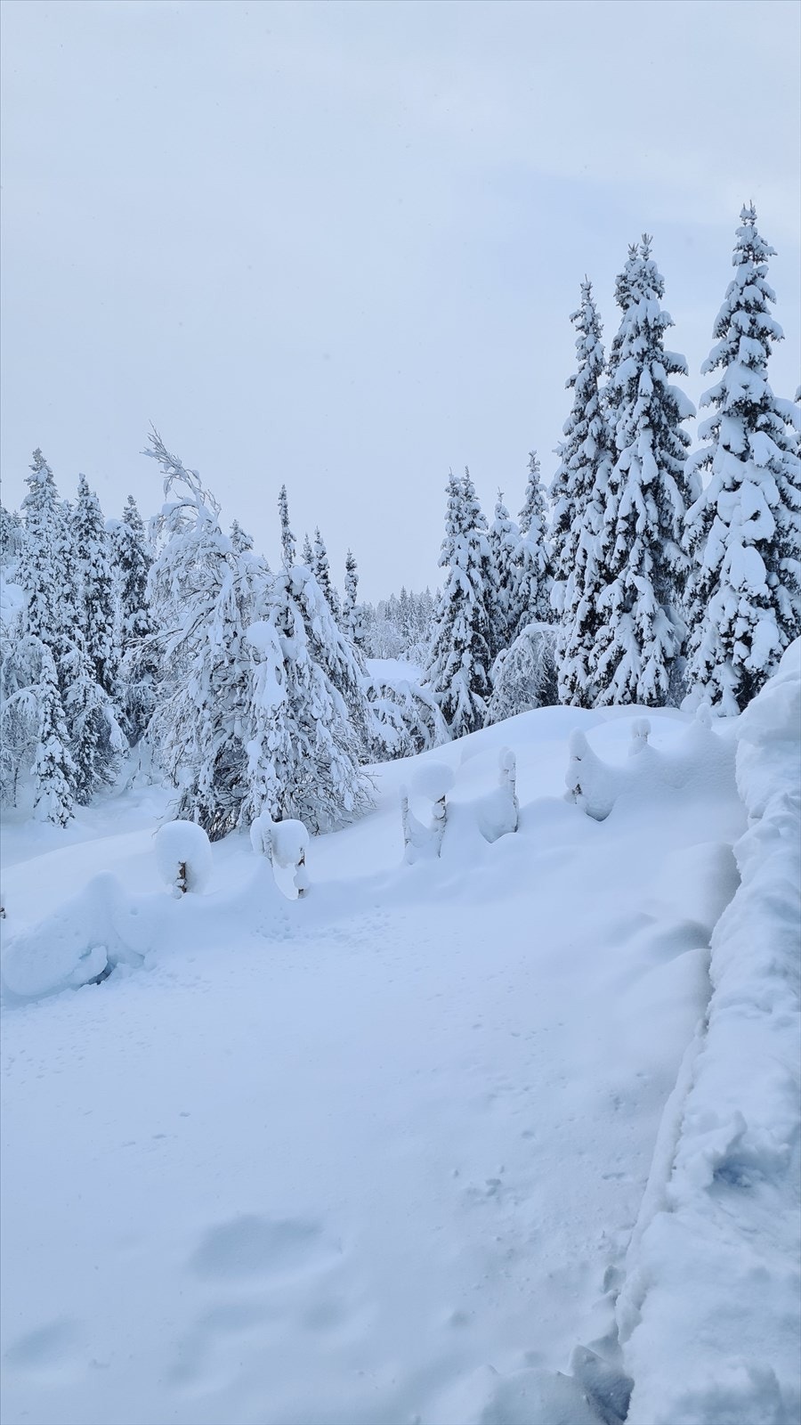 Vinterbilde tatt av selger vinteren 2022/2023. Galleribilde
