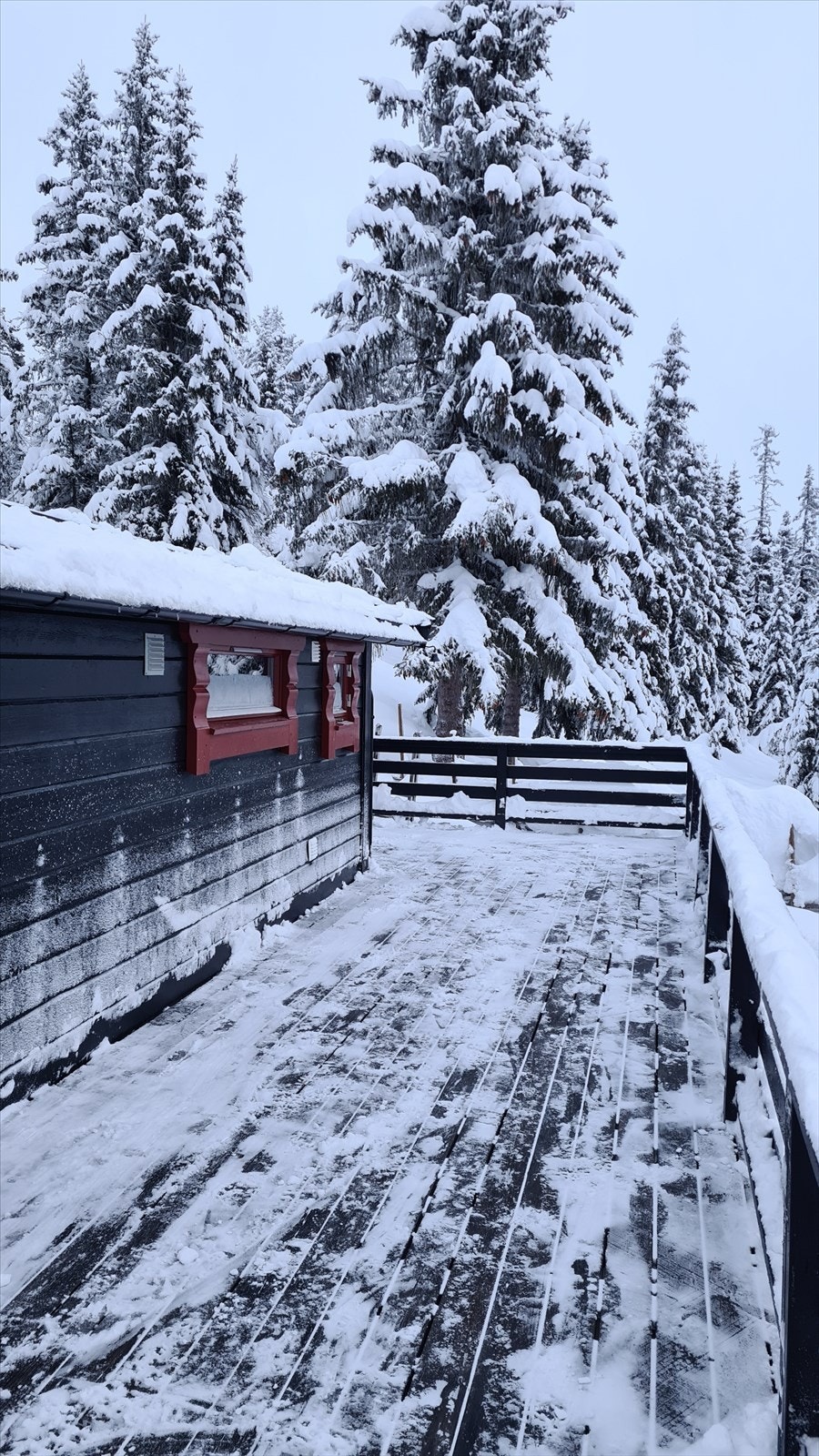 Vinterbilde tatt av selger vinteren 2022/2023. Galleribilde