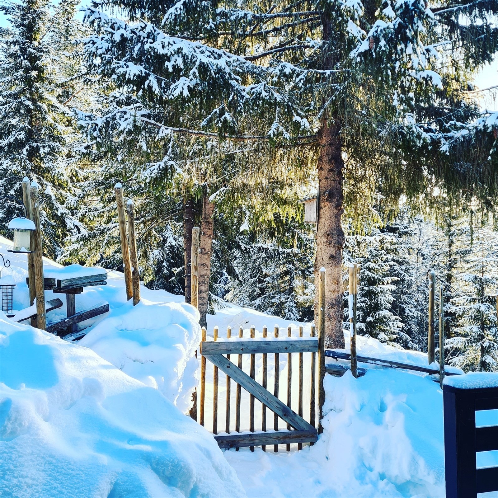 Vinterbilde tatt av selger vinteren 2022/2023. Galleribilde