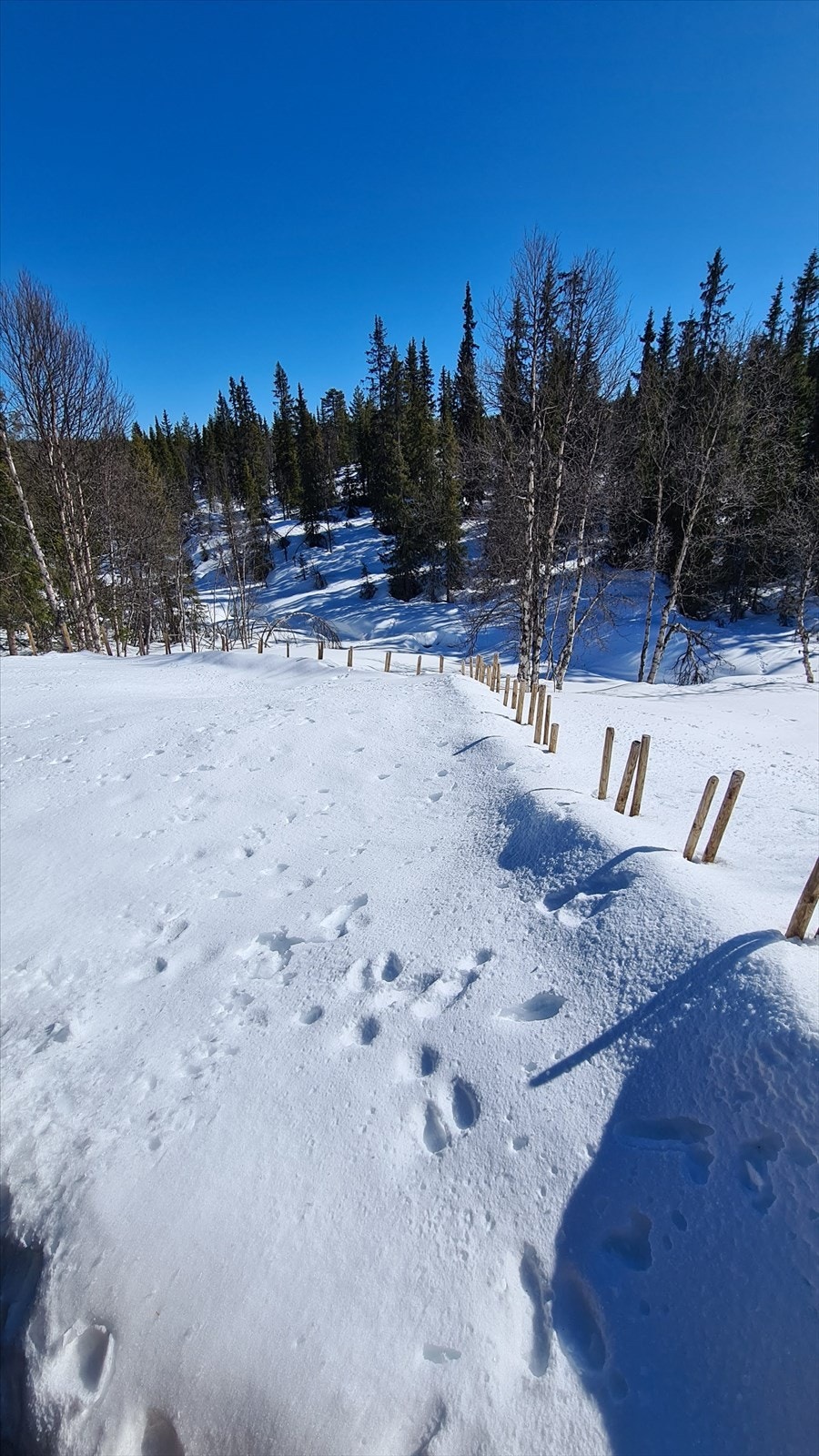 Vinterbilde tatt av selger vinteren 2022/2023. Galleribilde