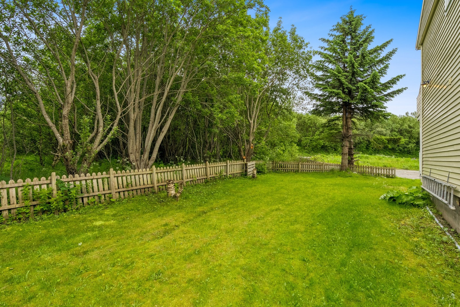 Tomten har en jevn og lettstelt hage som gjør vedlikeholdet enkelt og gir gode muligheter for lek og avslapning Galleribilde