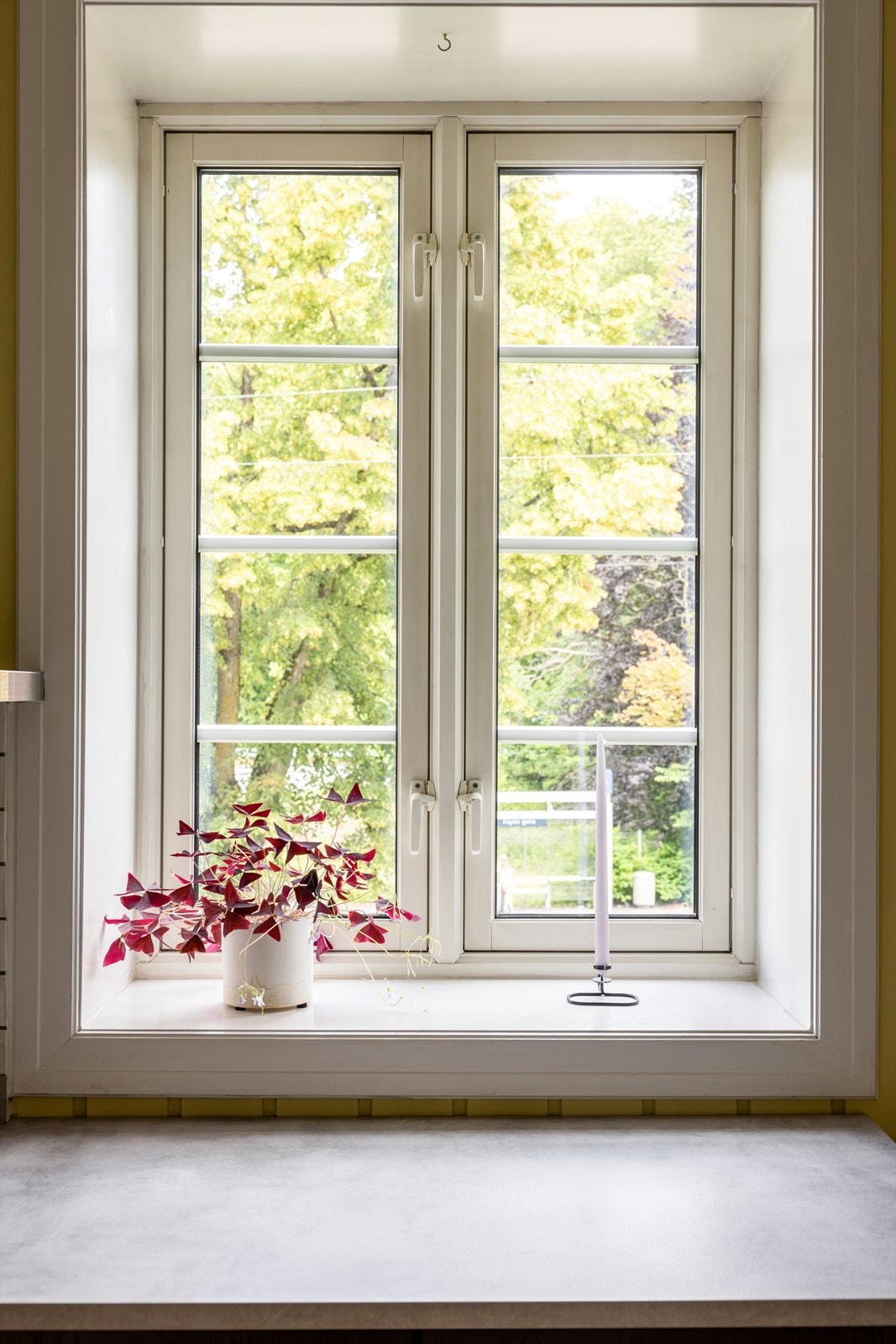 Herlig grønt utsyn fra kjøkkenet. Galleribilde