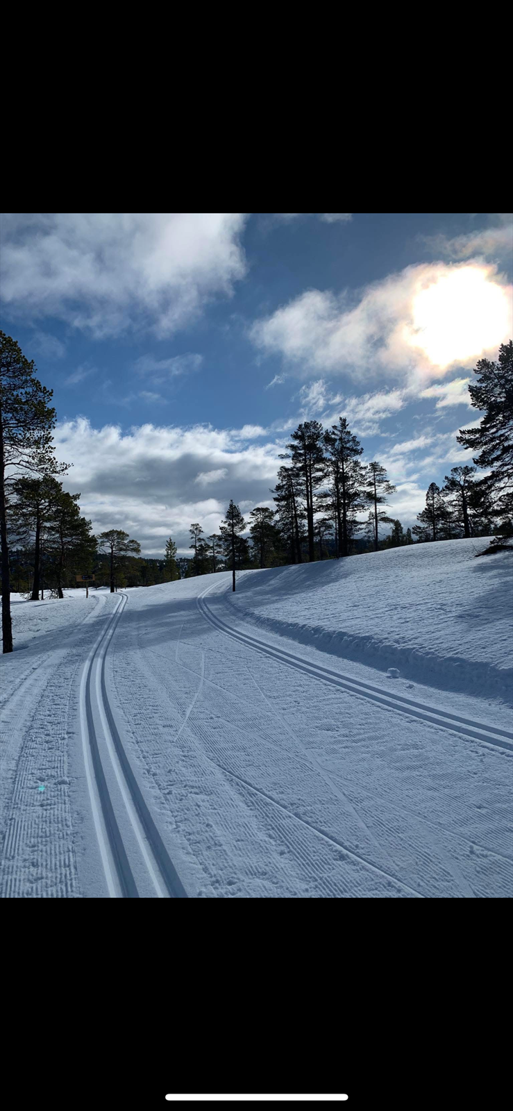 Private bilder Galleribilde