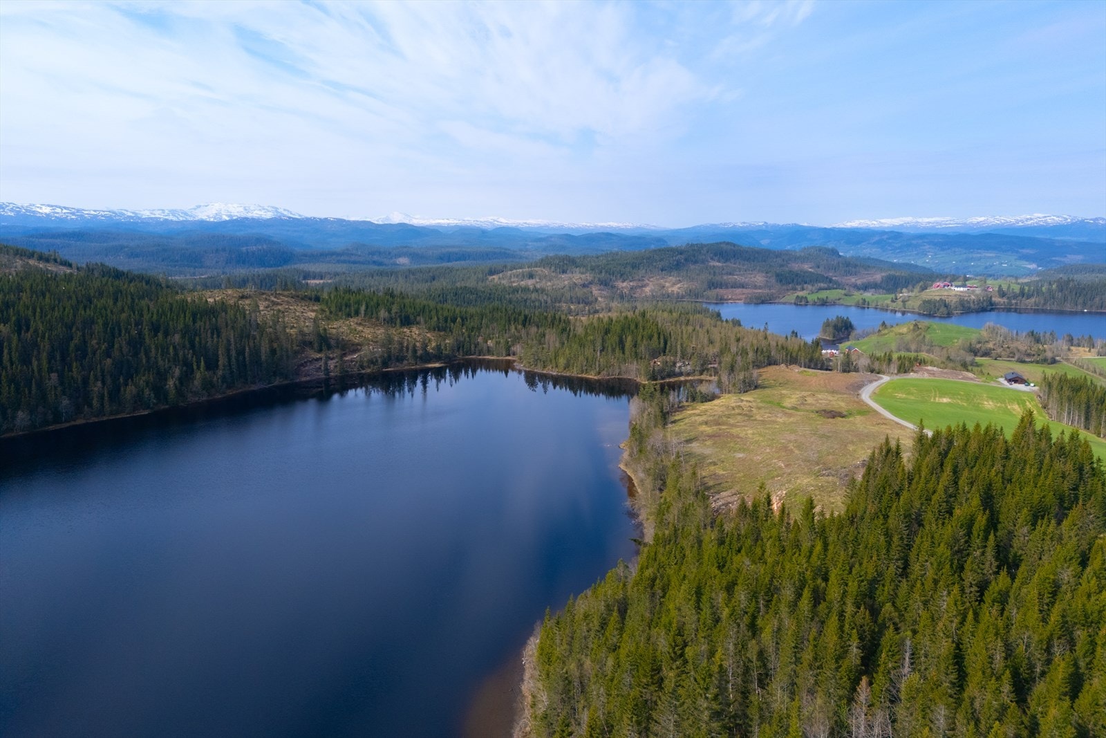 Nærområde Galleribilde