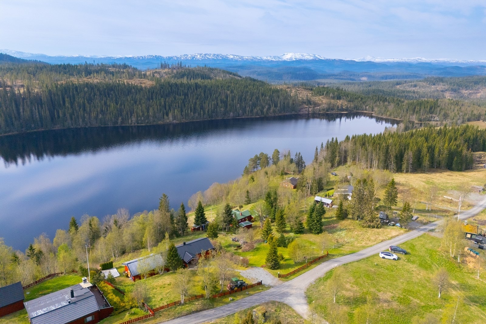 Nærområde Galleribilde