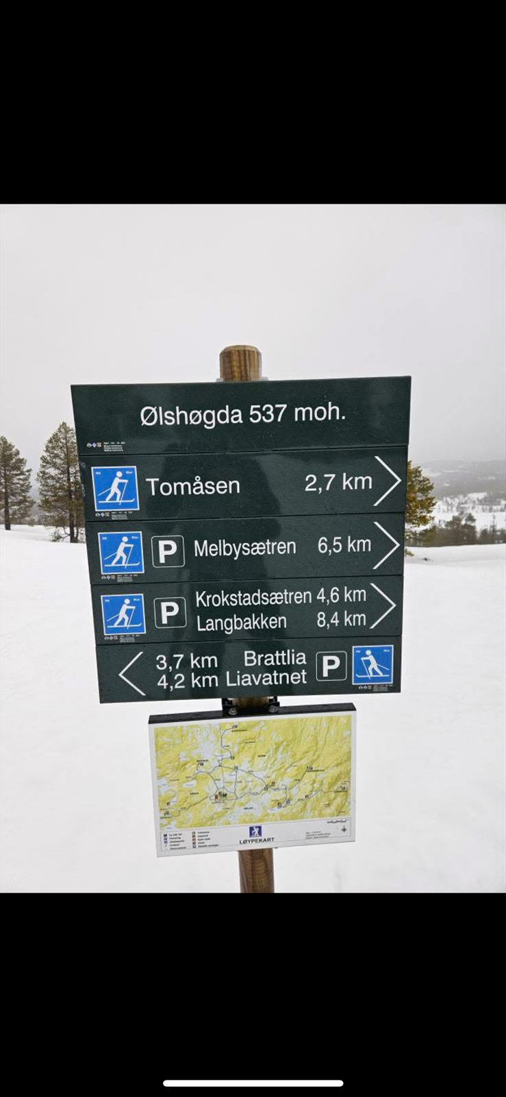 Private bilder Galleribilde