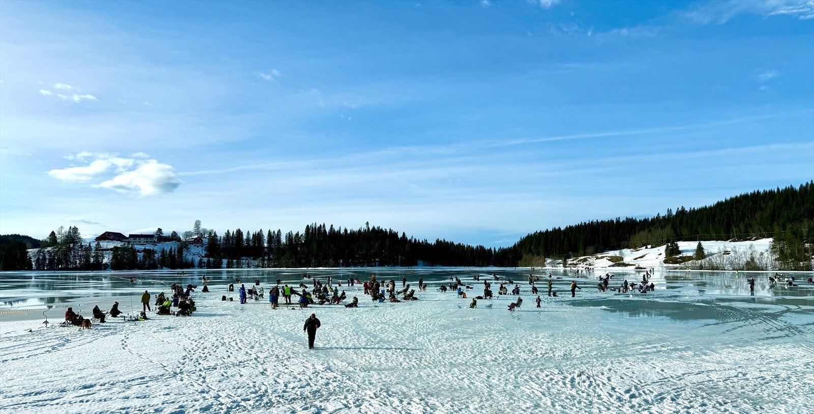 Private bilder Galleribilde