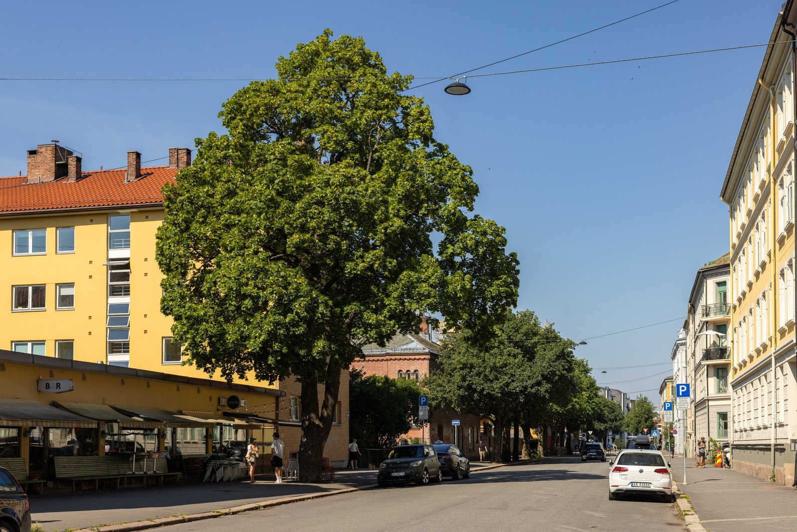 Velkommen på visning! Galleribilde