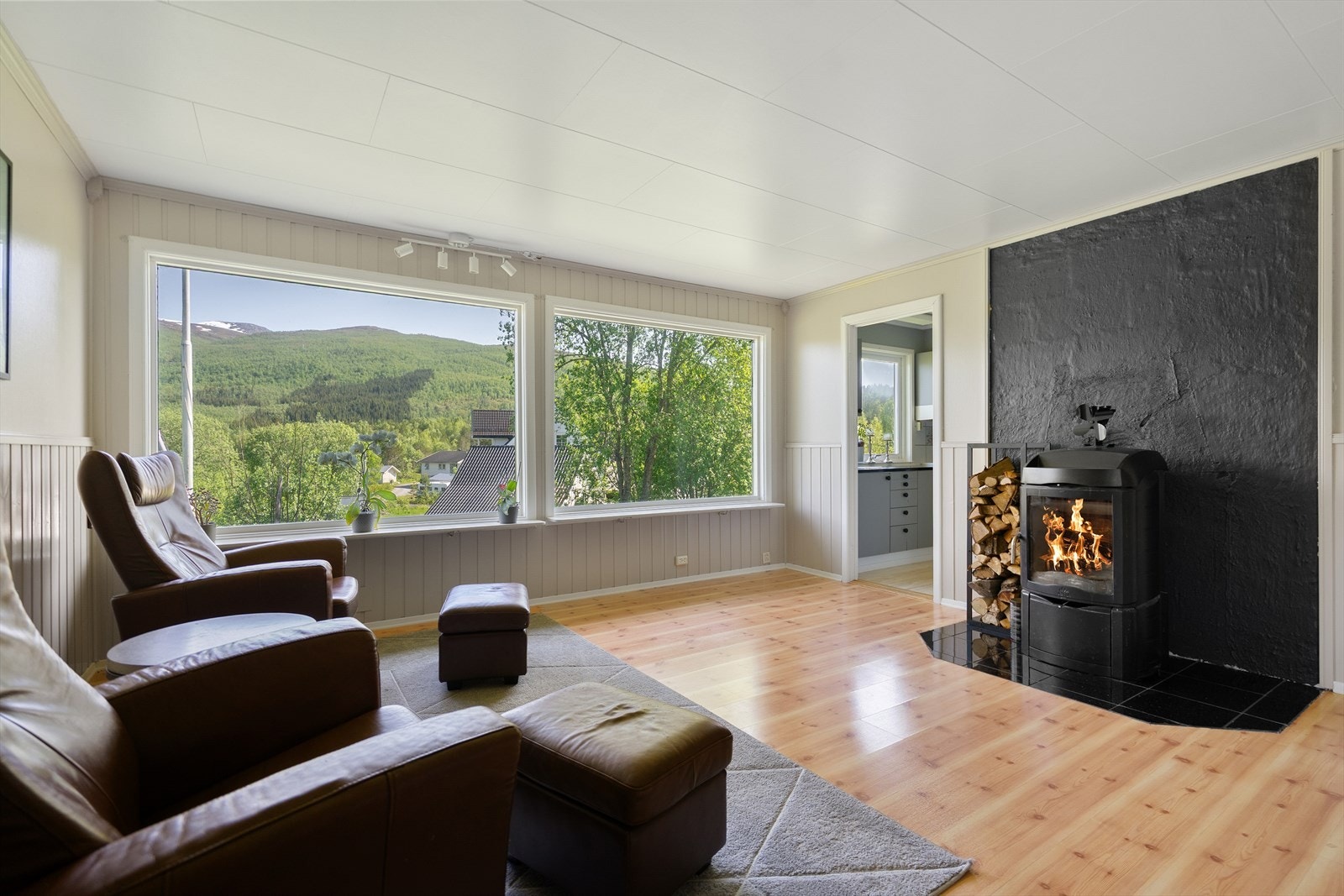 Vedfyring i stue Galleribilde