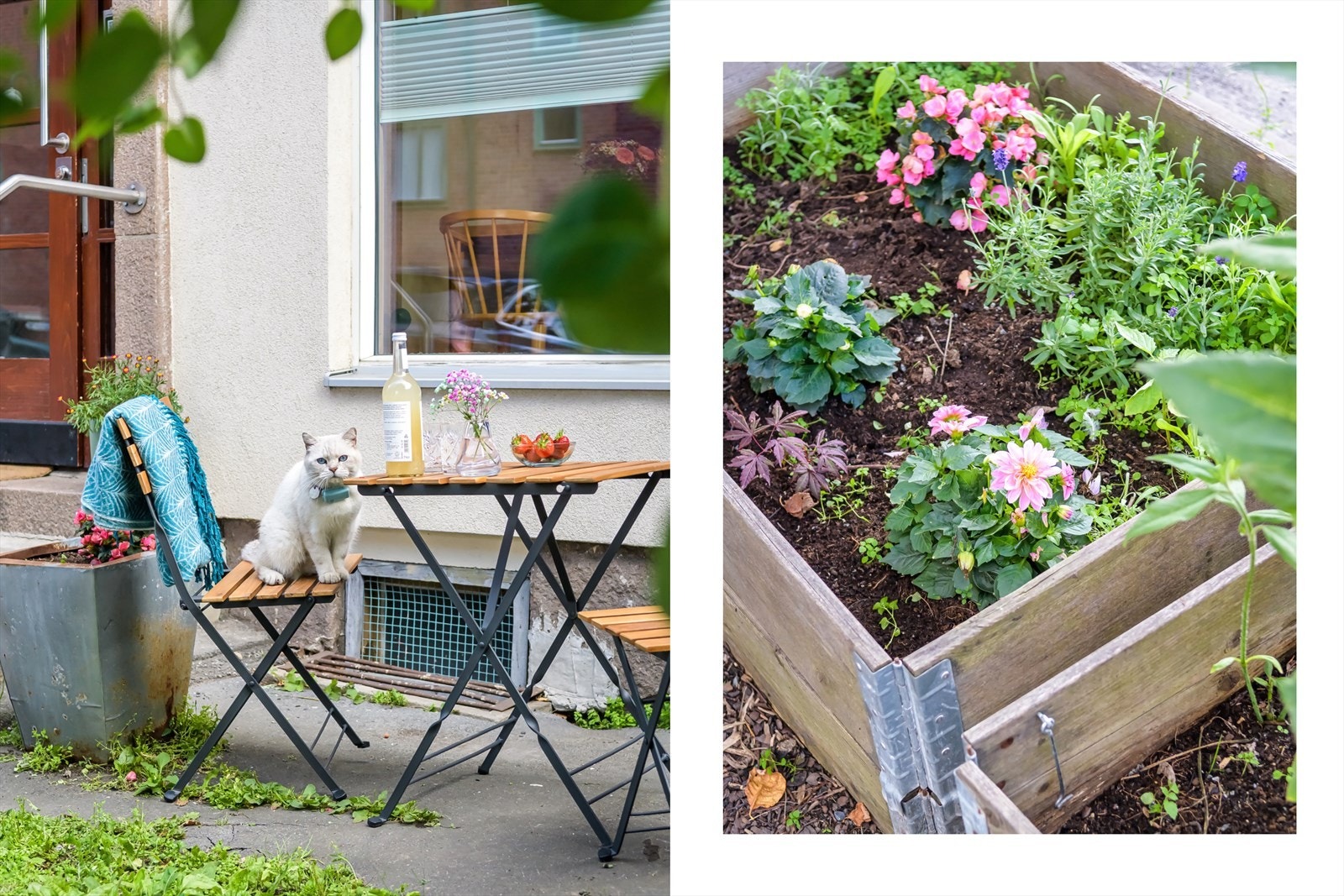 Rett utenfor døren er det nydelige grøntarealer. Galleribilde