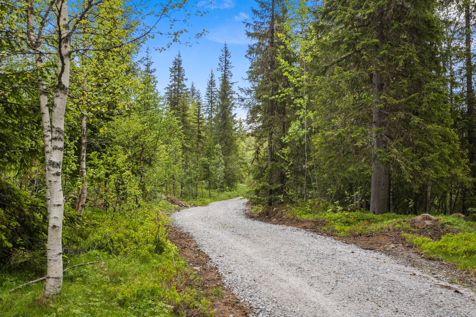 Veien inn til parkeringsplassen blir brøytet om vinteren Galleribilde