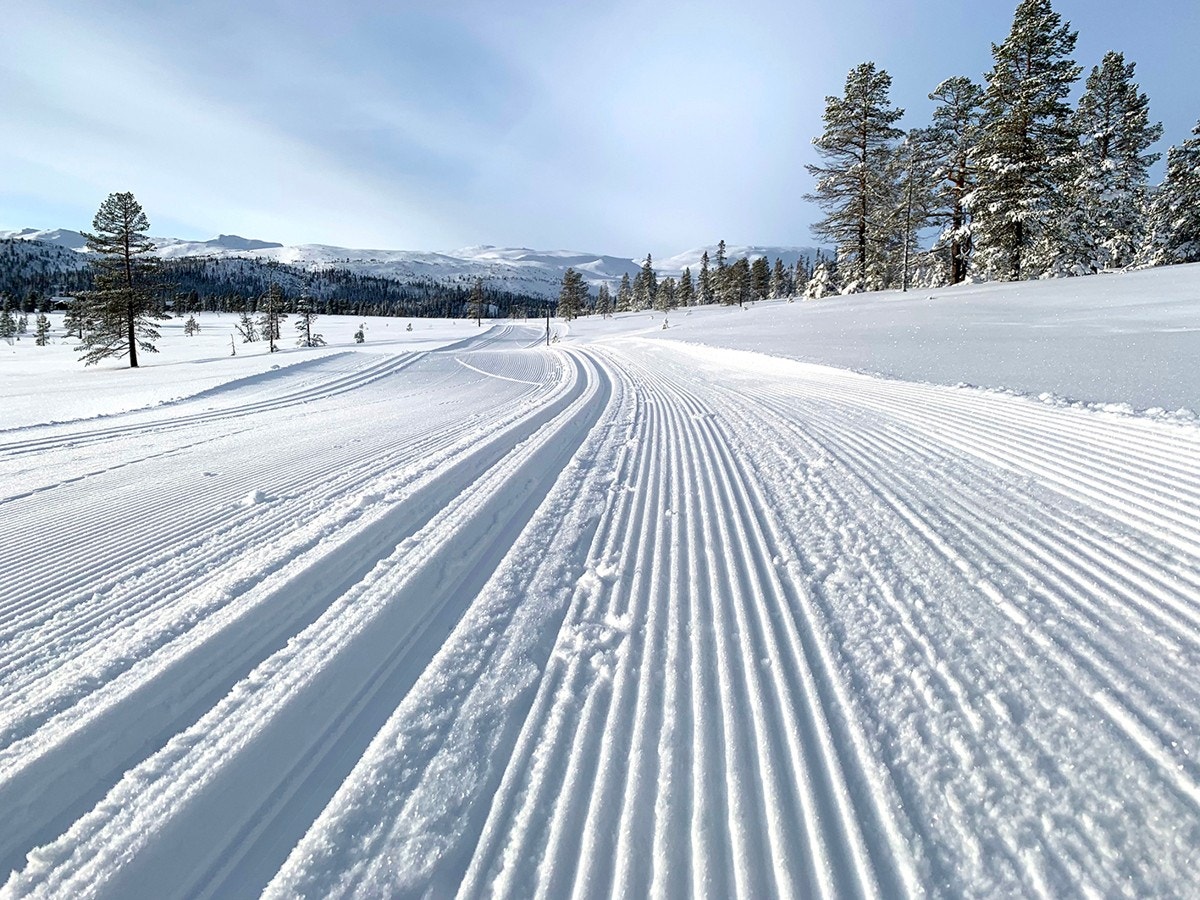 Langrennsløypene ligger like i nærheten med 9 mil oppkjørte og merkede løyper (kart kan kjøpes i resepsjonen på Veggli Fjellstue) Galleribilde