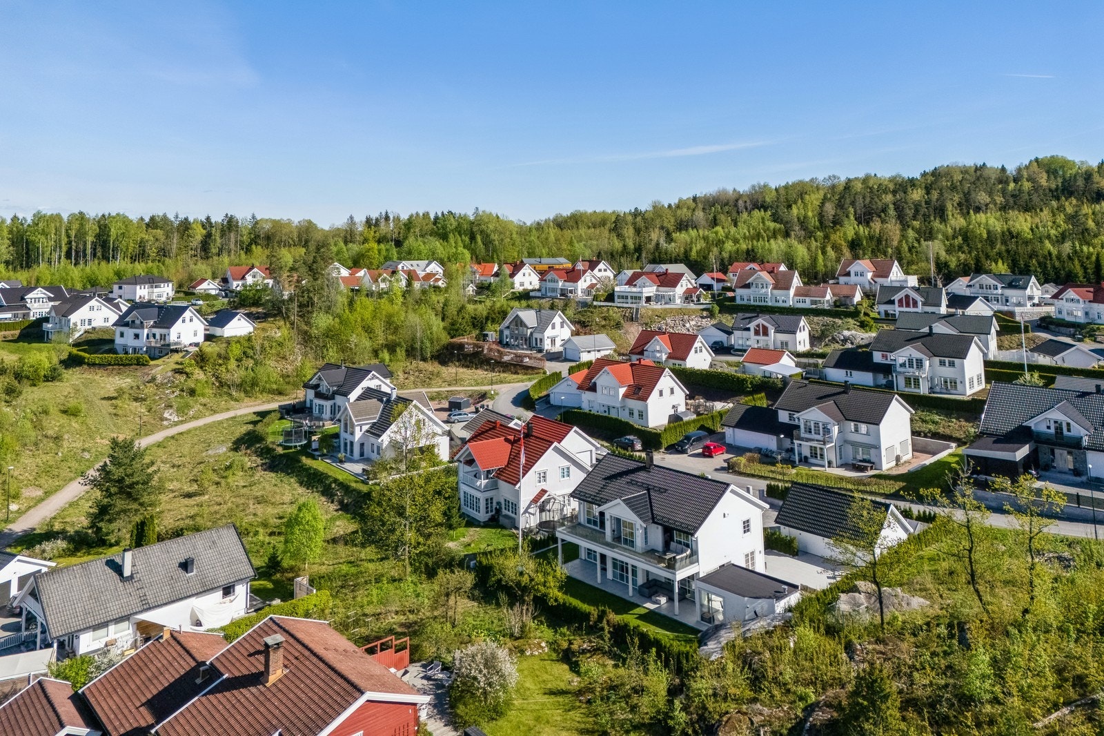 Nærområdet. Galleribilde