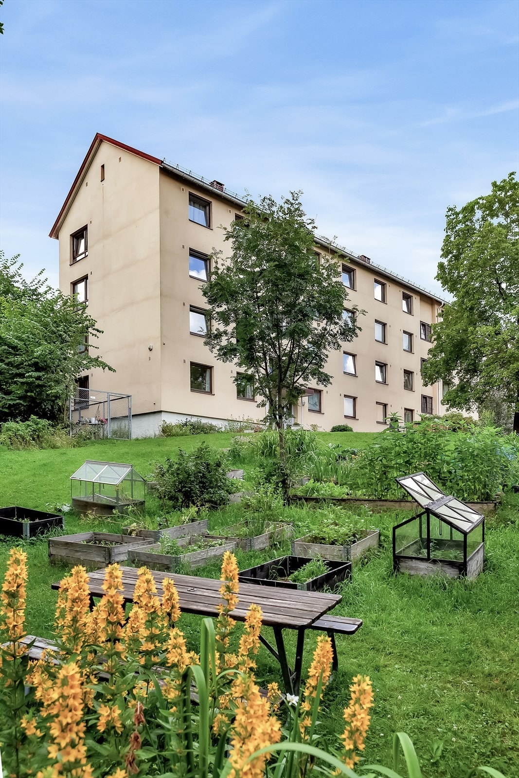 Her kan du dyrke dine egne grønnsaker og urter i hagen. Dette er en perfekt mulighet i en tid med økt fokus på kosthold basert på naturlige råvarer. Galleribilde