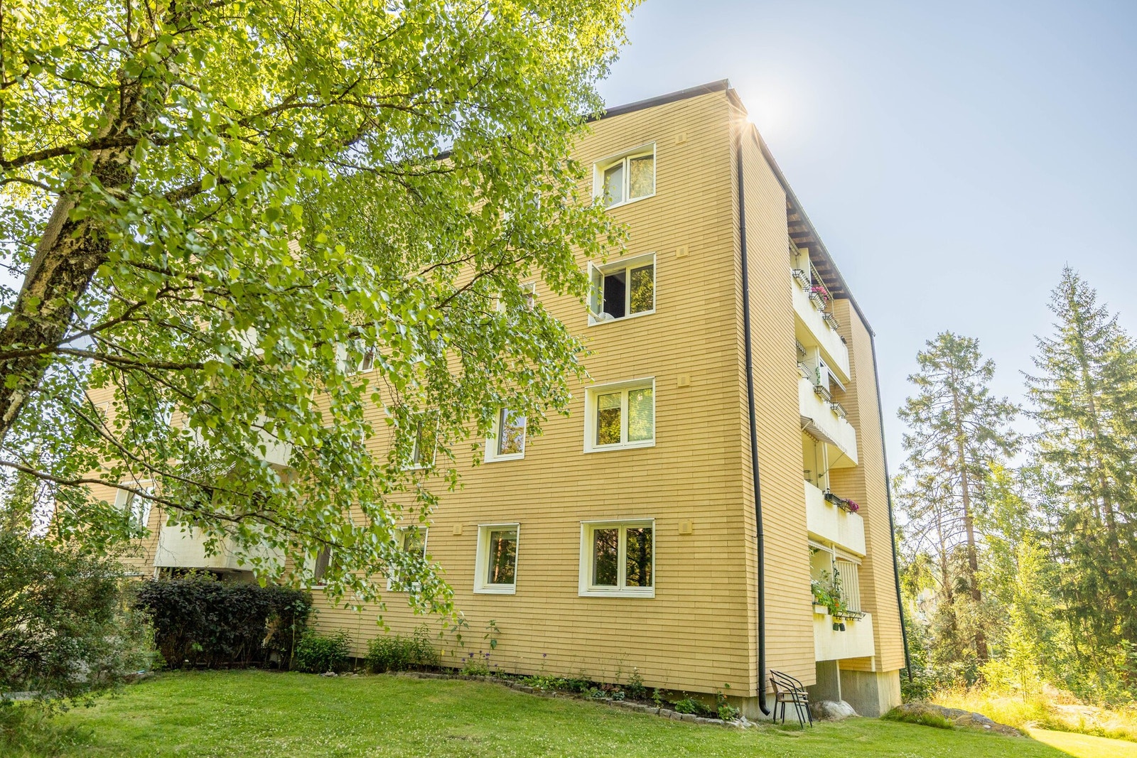 Her vil både store og små kunne trives. Galleribilde