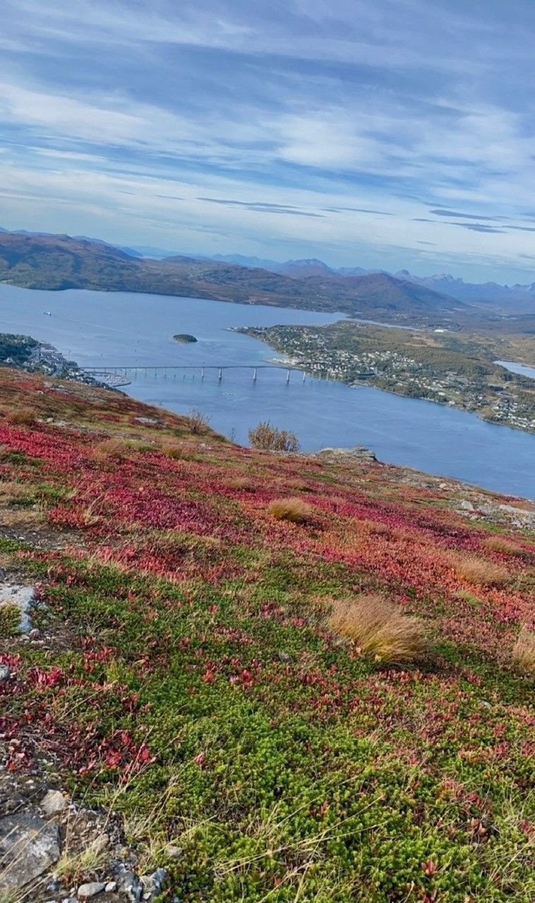 Nærhet til flott turterreng. Galleribilde
